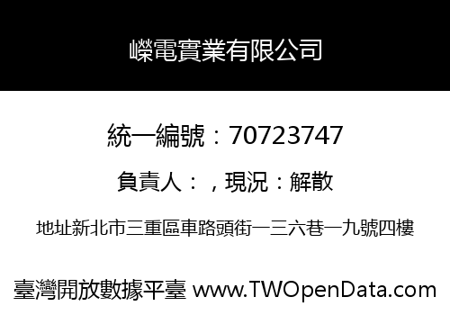 嶸電實業有限公司
