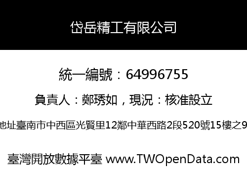 岱岳精工有限公司