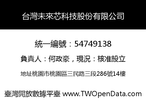 台灣未來芯科技股份有限公司