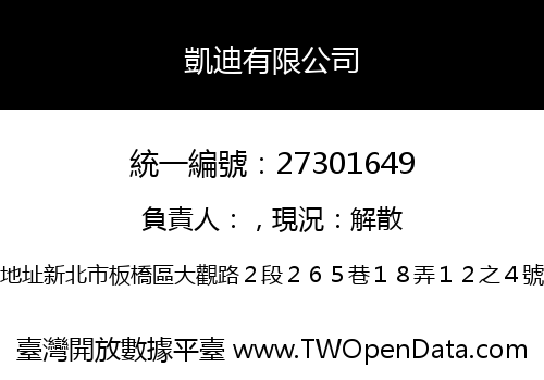 凱迪有限公司