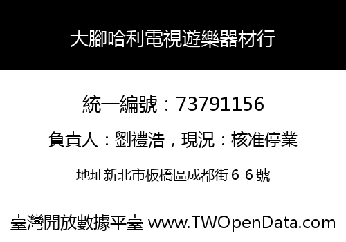 大腳哈利電視遊樂器材行