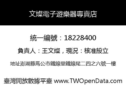 文燦電子遊樂器專賣店