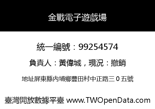 金戰電子遊戲場