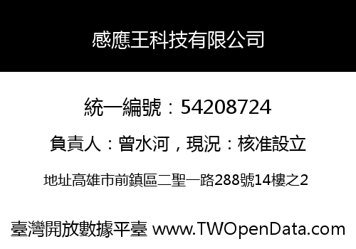 感應王科技有限公司