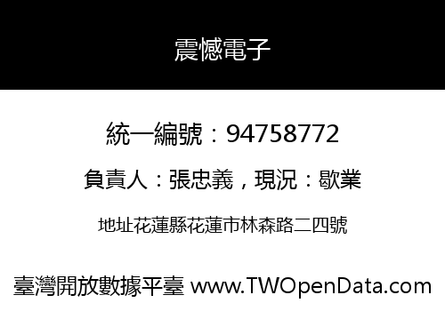 震憾電子