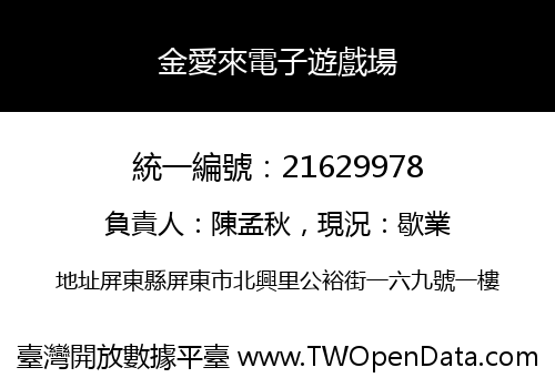 金愛來電子遊戲場
