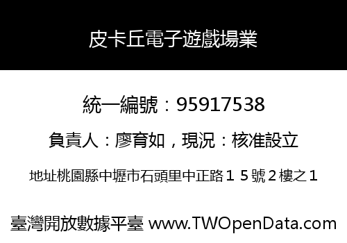 皮卡丘電子遊戲場業