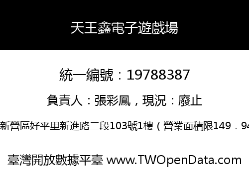 天王鑫電子遊戲場