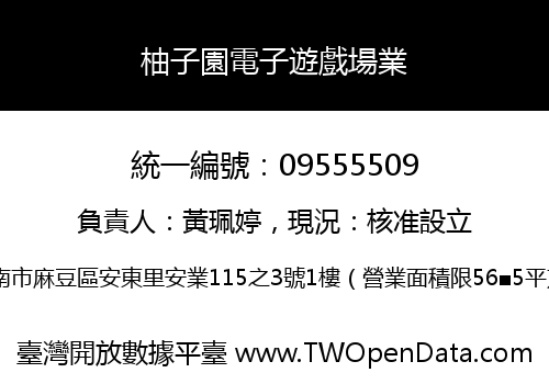 柚子園電子遊戲場業