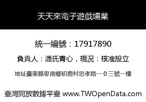 天天來電子遊戲場業