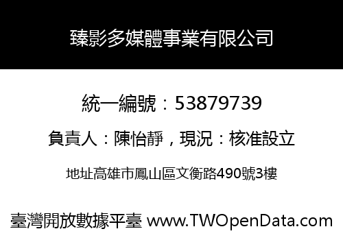 臻影多媒體事業有限公司