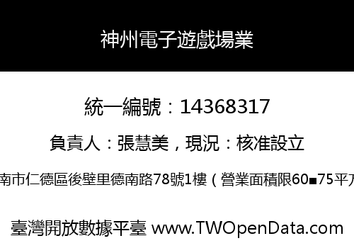 神州電子遊戲場業