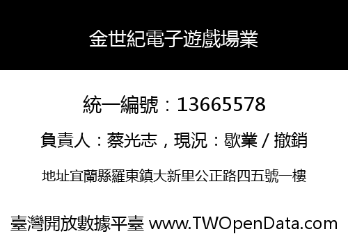 金世紀電子遊戲場業