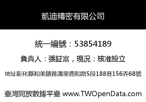 凱迪精密有限公司