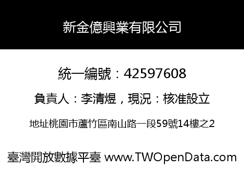 新金億興業有限公司