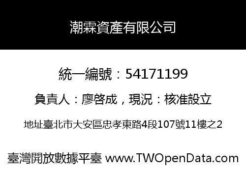 潮霖資產有限公司