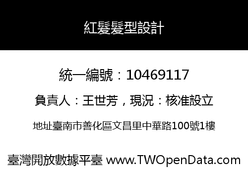 紅髮髮型設計