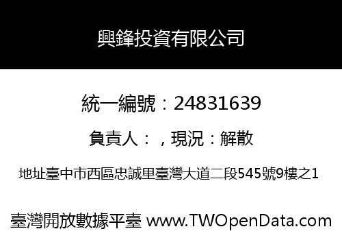 興鋒投資有限公司