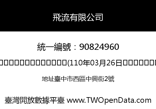 飛流有限公司