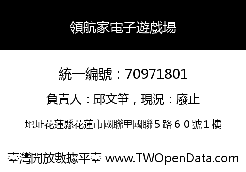 領航家電子遊戲場