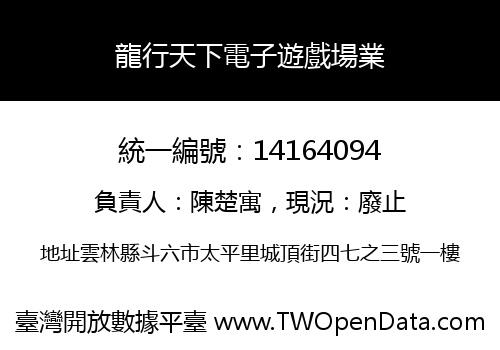 龍行天下電子遊戲場業