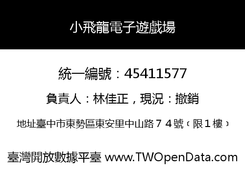 小飛龍電子遊戲場