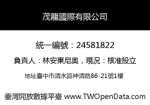 茂龍國際有限公司