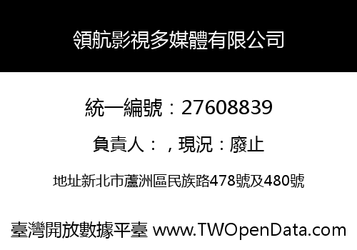 領航影視多媒體有限公司