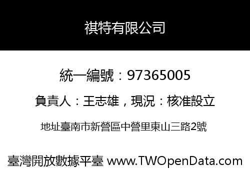 祺特有限公司