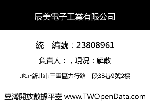 辰美電子工業有限公司