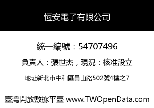 恆安電子有限公司