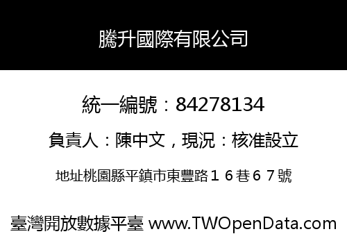 騰升國際有限公司