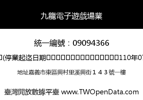 九龍電子遊戲場業