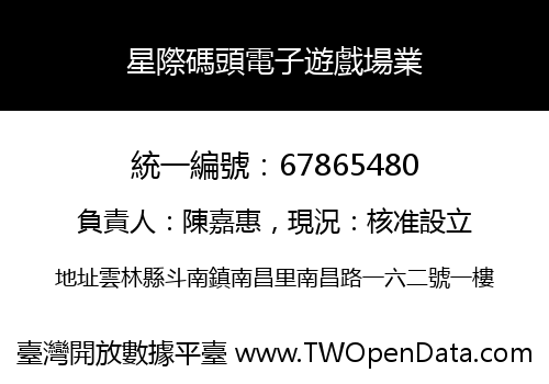 星際碼頭電子遊戲場業