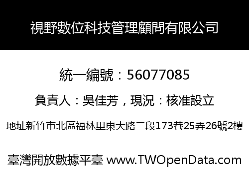 視野數位科技管理顧問有限公司