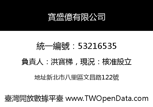 寶盛億有限公司