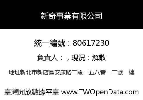 新奇事業有限公司