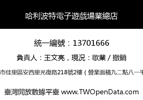 哈利波特電子遊戲場業總店