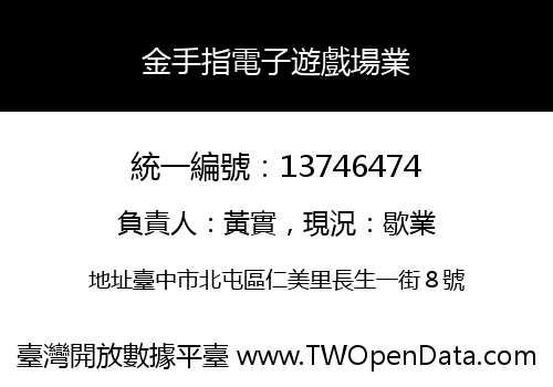 金手指電子遊戲場業