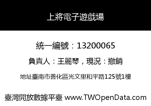 上將電子遊戲場