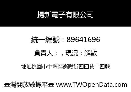 揚新電子有限公司