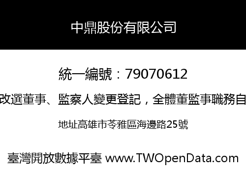 中鼎股份有限公司