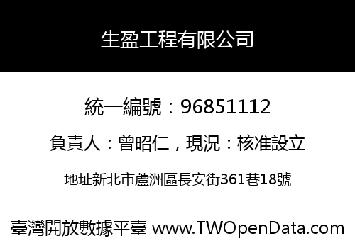 生盈工程有限公司