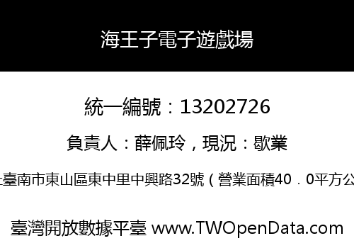 海王子電子遊戲場