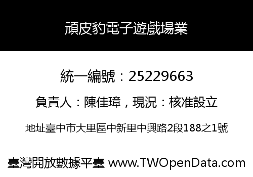 頑皮豹電子遊戲場業