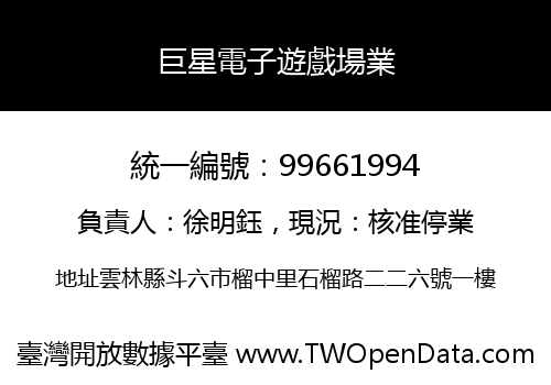 巨星電子遊戲場業