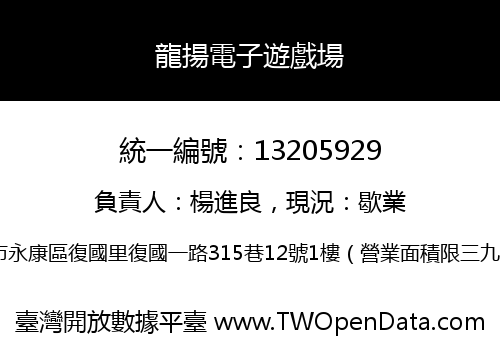 龍揚電子遊戲場