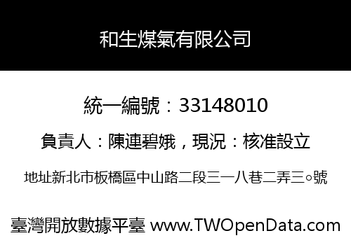 和生煤氣有限公司