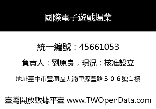 國際電子遊戲場業