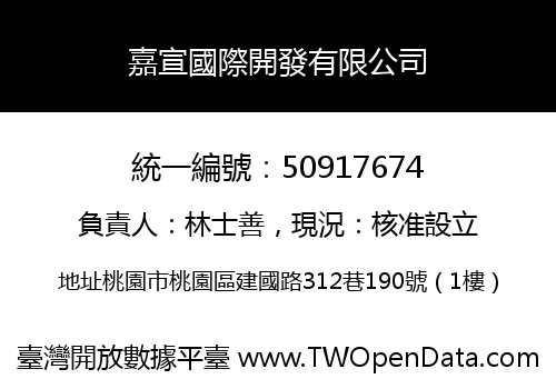 嘉宣國際開發有限公司